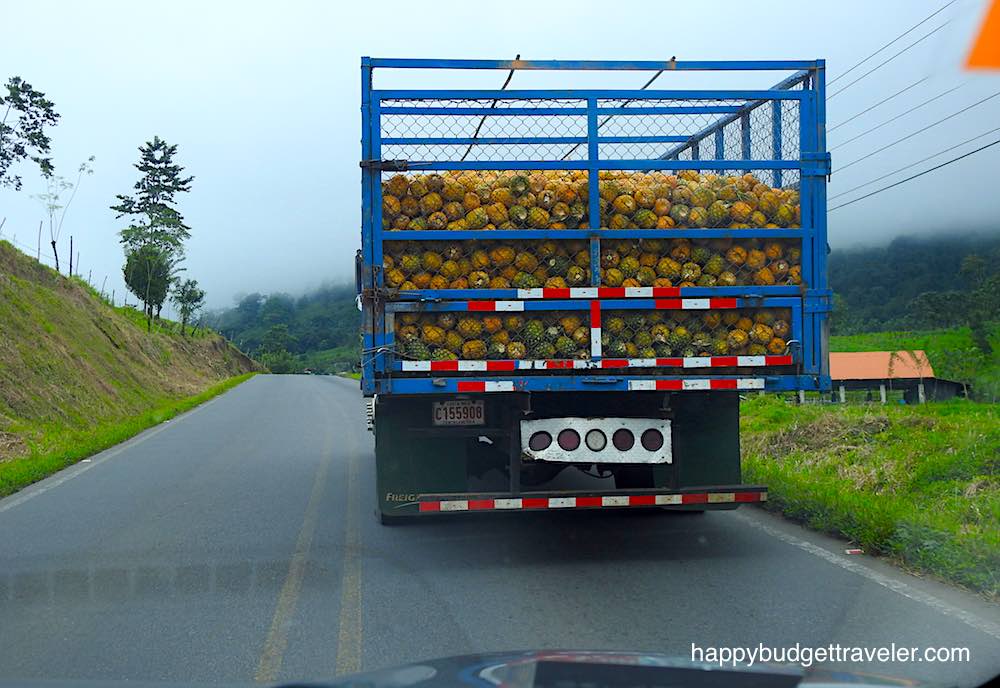 Picture of a truck transporting harvested pineapples