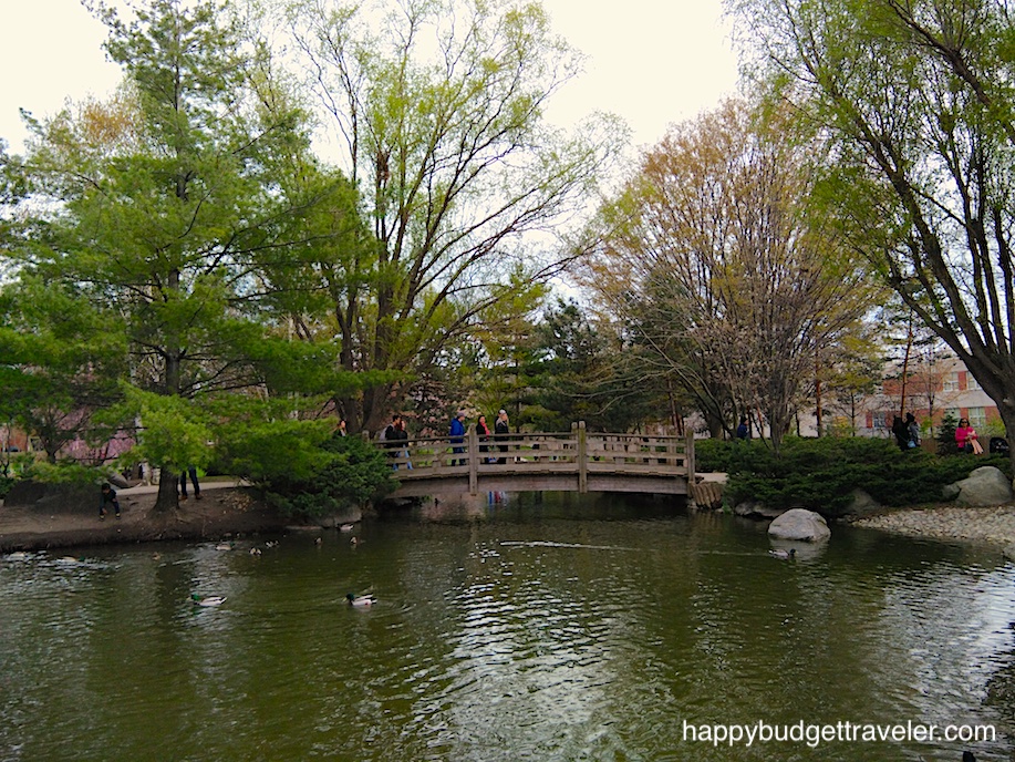 Picture of Duck pond in Kariya park, Mississauga.