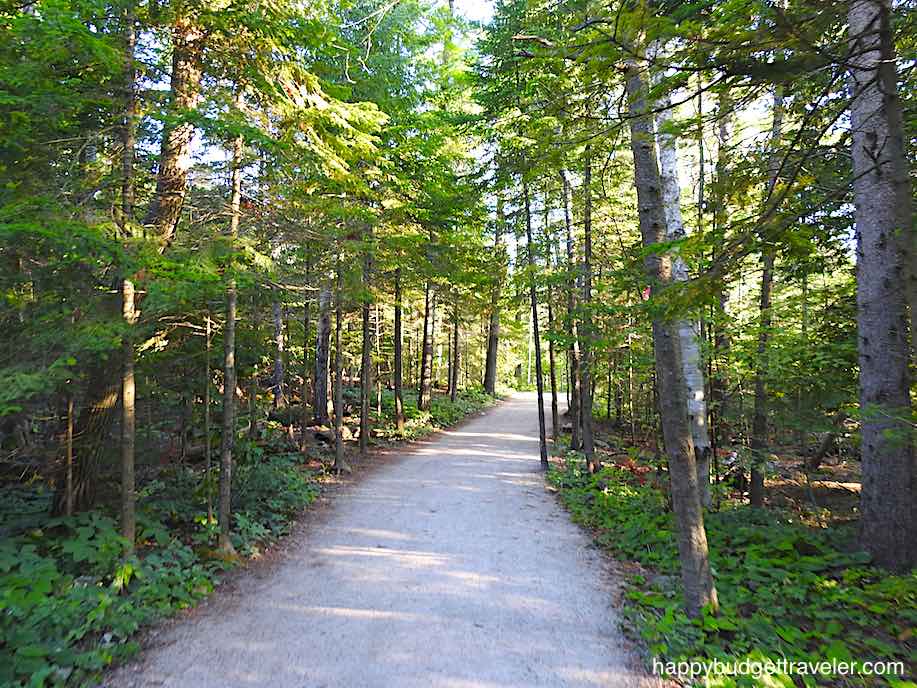Picture of a hiking trail in Tobermory