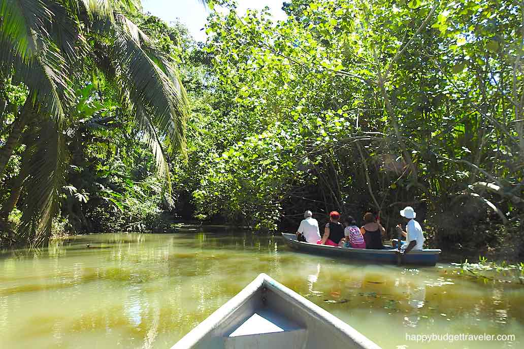 Picture of a canoe ride on the Estrella River in the Sloth Sanctuary natural habitat, Costa Rica