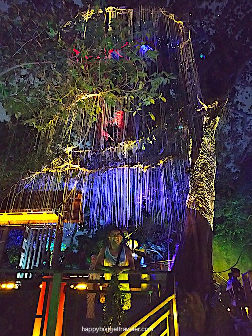 Picture of a tree lighted with various colored lights in the Avatar Secret Garden, Penang Island, Malaysia