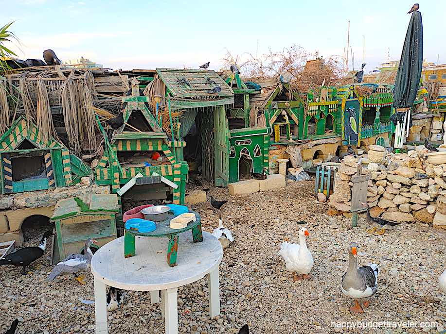 Picture of the Duck Village on Manoel Island, Gzira, Malta