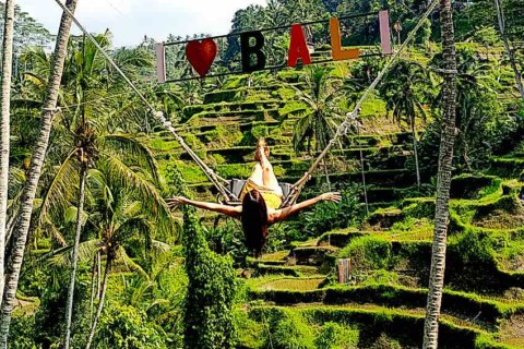 Picture of the Iconic swing over the rice terraces in Tegallalang. Ubud, Bali